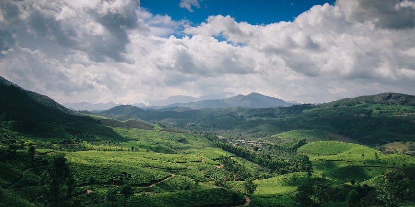 A wide view of the tea estates of Suryanelli, a popular place for camping near Munnar.