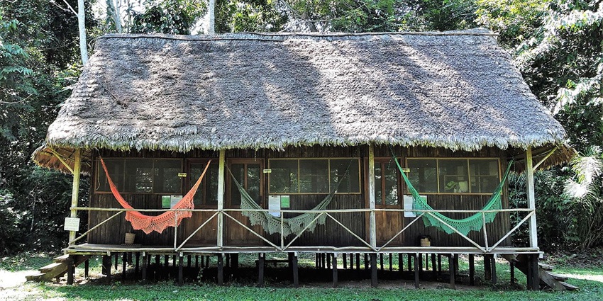Stay in eco-friendly lodges or camp deep in the jungle for an immersive experience.