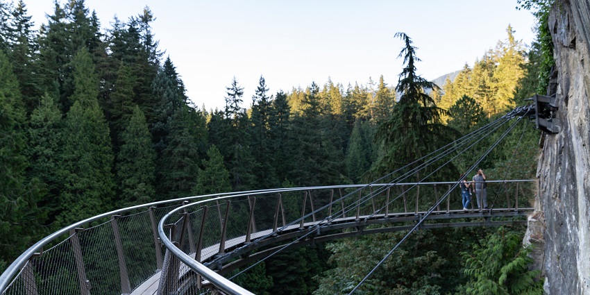 Iconic treetop walk through lush forested canyon scenery, featured in Vancouver travel guide.