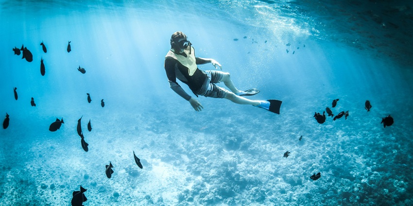 A person snorkeling, with sunlight filtering through and illuminating underwater life