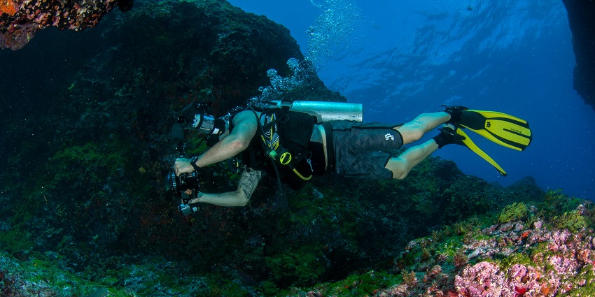 Scuba diving in Cuba at the stunning tropical island with crystal-clear waters, and marine reserve