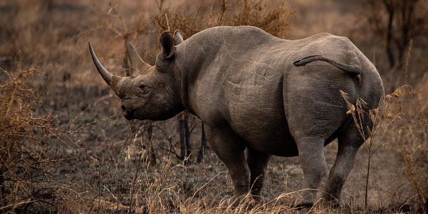 One of the smallest wildlife sanctuaries in India, rich in elephant sightings.