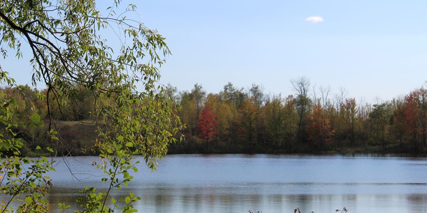 One of the tranquil lakes in Lucknow is nestled among lush greenery on a beautiful day.
