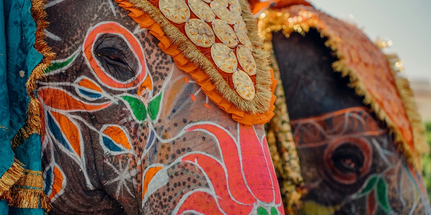 An elephant decorated with ornaments during the Elephant Festival in Jaipur, Rajasthan.