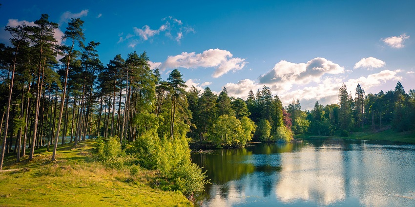 An image of Chembarambakkam Lake with reflections of the sky and surrounding greenery.