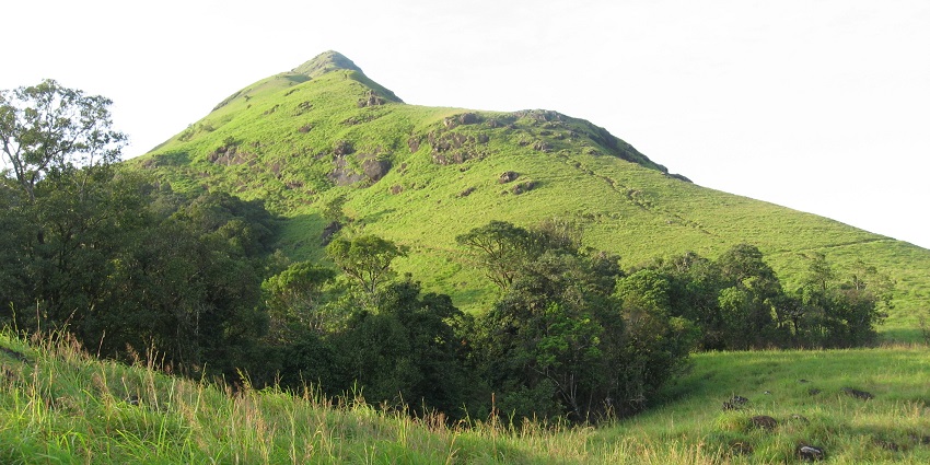 An image of the Chembra Peak Trek, one of the South Indian treks, with scattered trees under a clear blue sky.