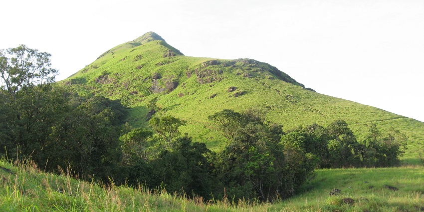 An image of Chembra Peak, at 2100 m (6980 ft) above sea level, the highest peak in Wayanad
