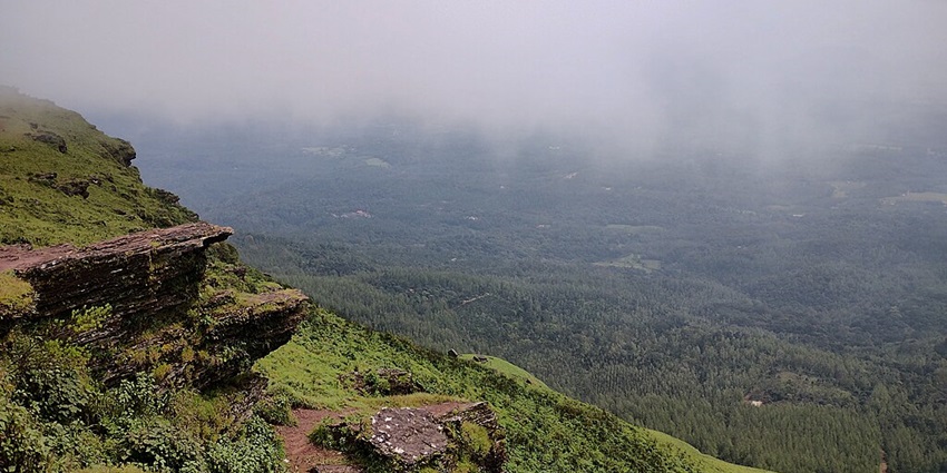 An image of the misty hills and coffee plantations located in Chikmagalur, Karnataka