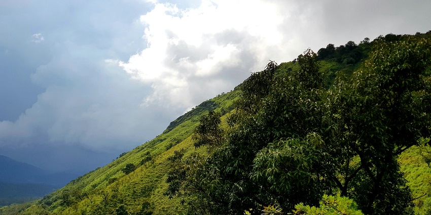 Visit Chikmagalur, also known as the the "Coffee Land of Karnataka” in South India.