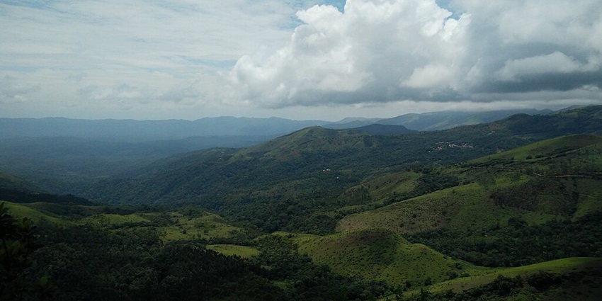 An image showing the landscape of Chikmagalur, Karnataka, featuring hills and coffee plantations