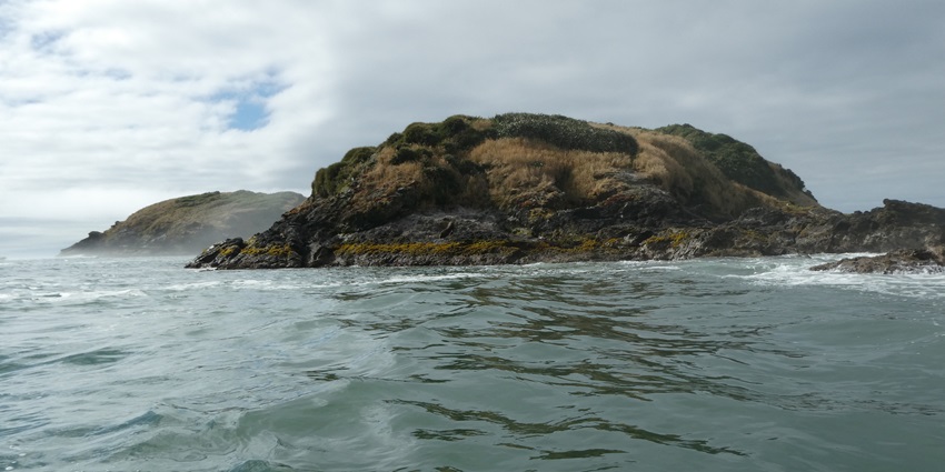  Discover the mystique of Chiloé Island, where rolling hills and colorful palafitos set the mood for romance
