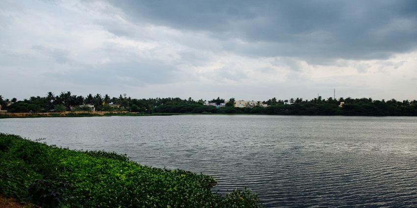 The lush greenery and calm waters of Chitlapakkam Lake in Chennai, with a scenic view of the sky reflecting itself in the waters