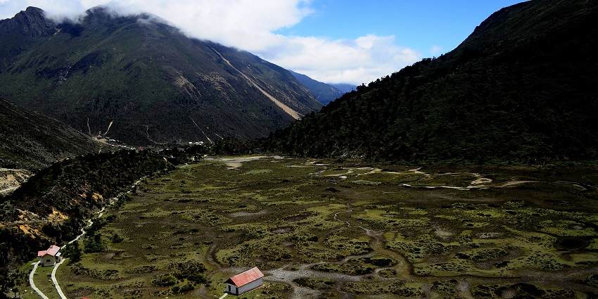 A wide view of the valley on a sunny day in Chopta Valley near Gurudongmar Lake in April.