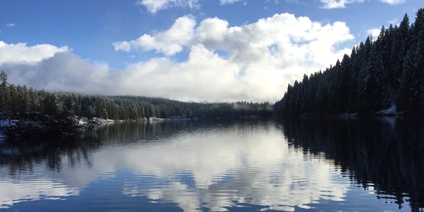 A Reflection of clouds on the calm waters of Clear Lake surrounded by greenery in Oregon.