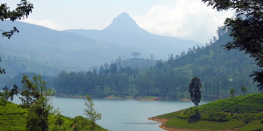 The lush greenery around Maskeliya Reservoir with a backdrop of Adam’s Peak in Sri Lanka.