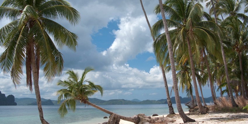 Quiet beach lined with coconut palms and scenic views.