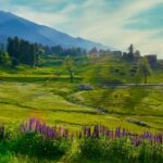 A snow-covered landscape of Gulmarg, one of the best places to visit in India in June.