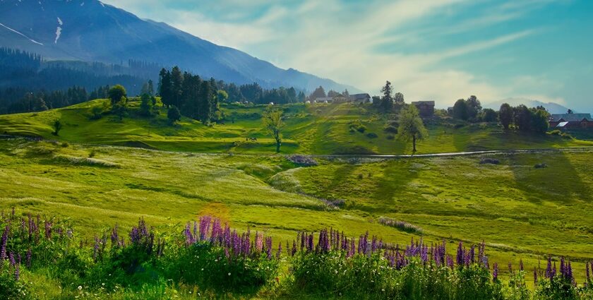 A snow-covered landscape of Gulmarg, one of the best places to visit in India in June.