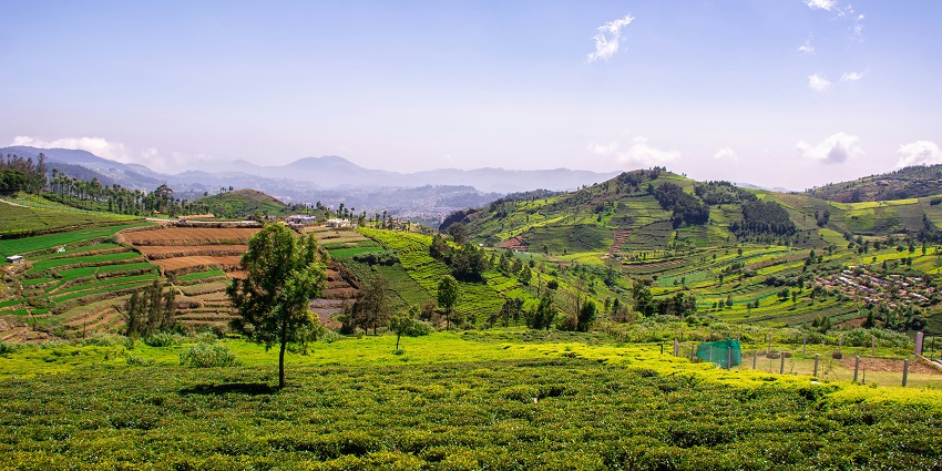 Coonoor Railway Station in Tamil Nadu, featuring a charming hill station ambience.