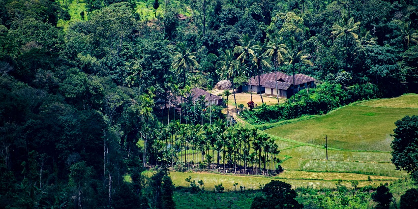 An image of the Abbey Falls in Coorg, one of the places to see in India for couples.