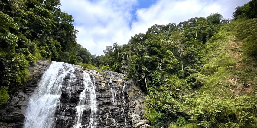 An image of the scenic views in Coorg, one of places to visit in April in India for couples.