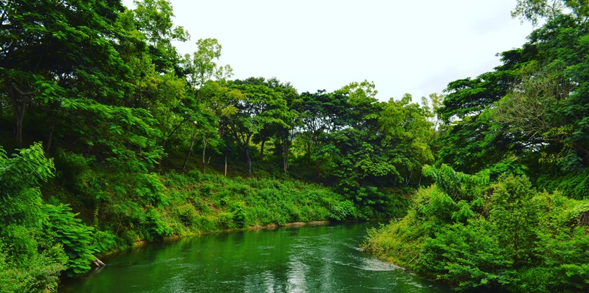 Coorg’s coffee plantations and misty hills make it a perfect summer retreat.