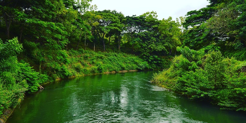 Image of Somwarpet in Kodagu, one of the best hill stations in South India During Summer