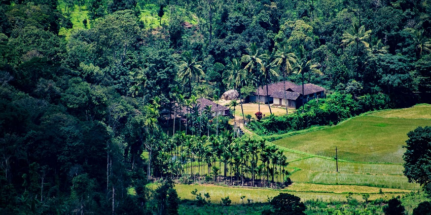 An amazing sight of the plantation areas in Coorg.