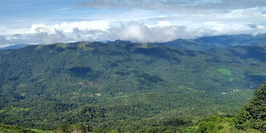 Feel the misty mountains of Coorg, which are among the places to visit in August in South India.