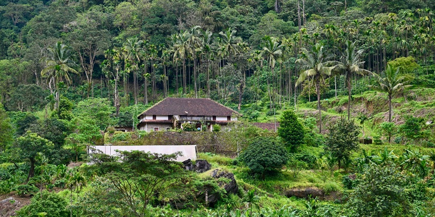 An image of a beautiful house amongst a lot of green. Shot from Coorg, Karnataka, India