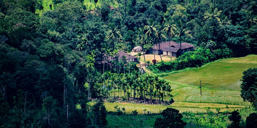 An image showing the scenic landscape of Kodagu, Coorg, Karnataka, with lush greenery and hills.