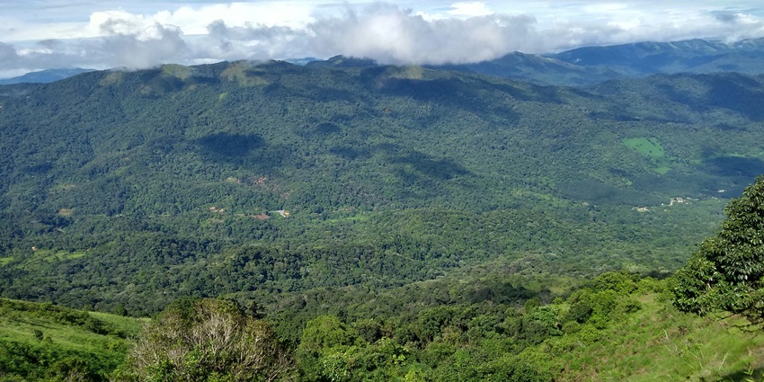 Feel the misty mountains of Coorg, which are among the places to visit in May in South India.