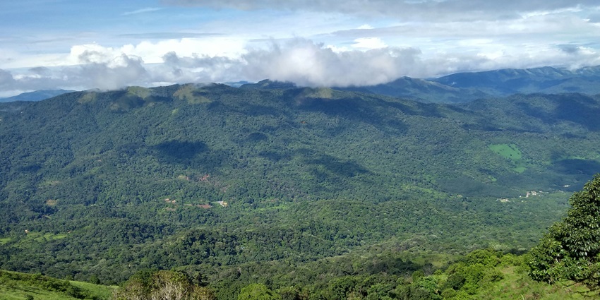 Coorg in Karnataka, offers stunning views - Places to visit in December in south India