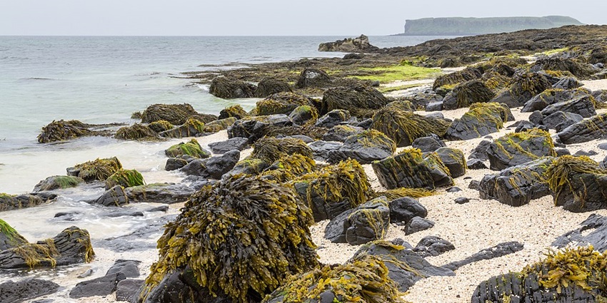 Coral Beach featuring stunning white coral-like sands and crystal-clear waters on Skye.