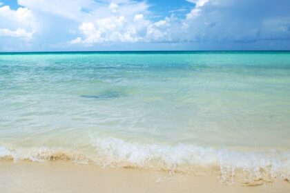 Cuba’s beaches boast white sand, crystal-clear waters, vibrant marine life, and breathtaking Caribbean scenery.