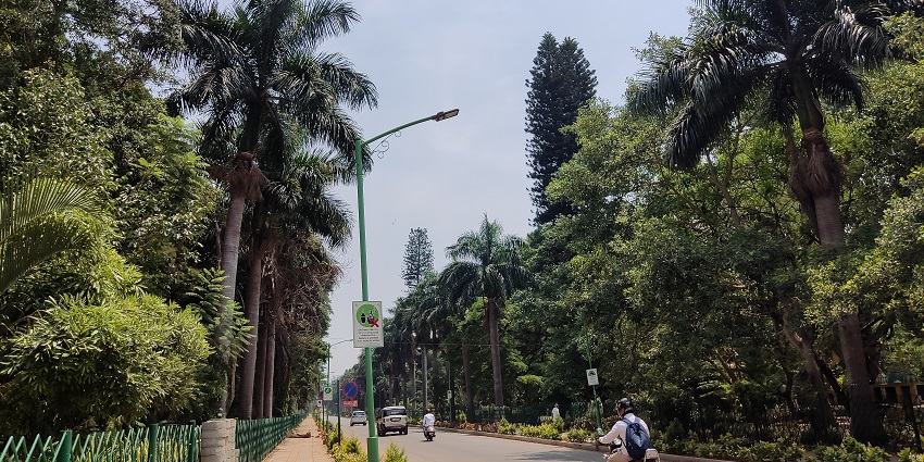 The View of Cubbon Park, one of the places to visit as mentioned in the Bangalore travel guide.