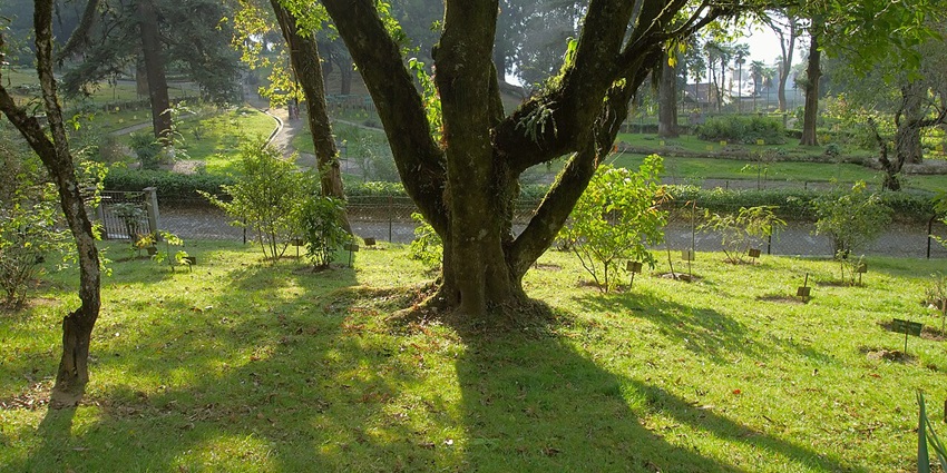 A tree-lined jogging path in Salt Lake with benches and landscaped greenery, one of the best things to see in Salt Lake Kolkata.