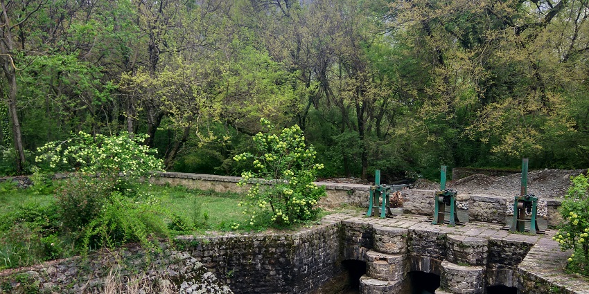 An image of the Dachigam National Park, one of the best national parks in North India.