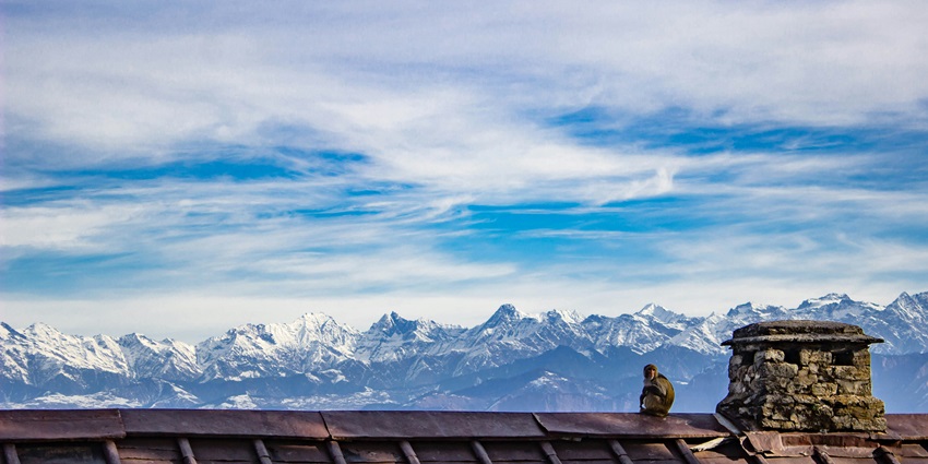 Dalhousie is one of the most amazing places to visit for every traveller in Himachal.