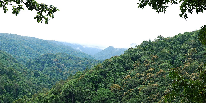 A picture of scenic hills in Dandeli, one of the most popular hill stations in Western Ghats