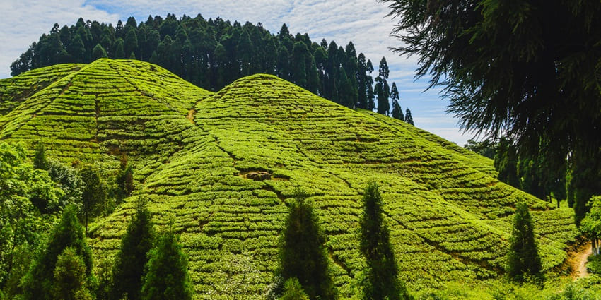 An image of Darjeeling town, 7 am in the morning in summer.