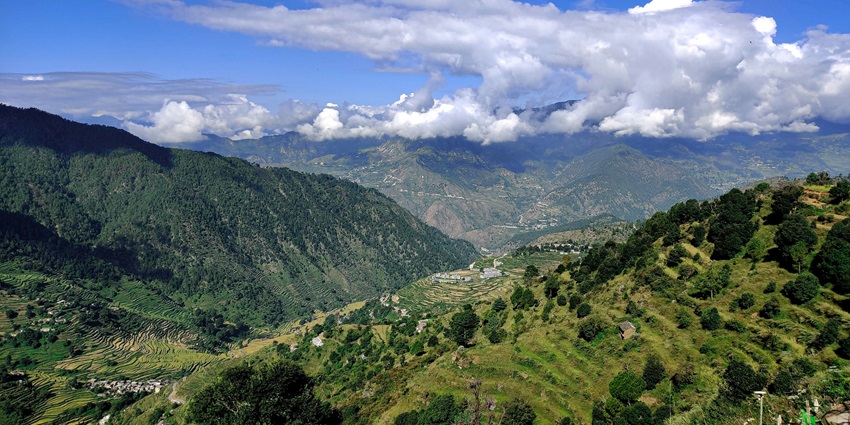 An image of Darjeeling showcasing a tea plantation on green hills, winding paths, and scattered houses in the distance
