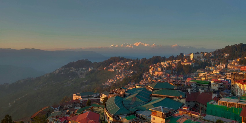 An image showing the lush green tea plantations of Darjeeling stretching across rolling hills.