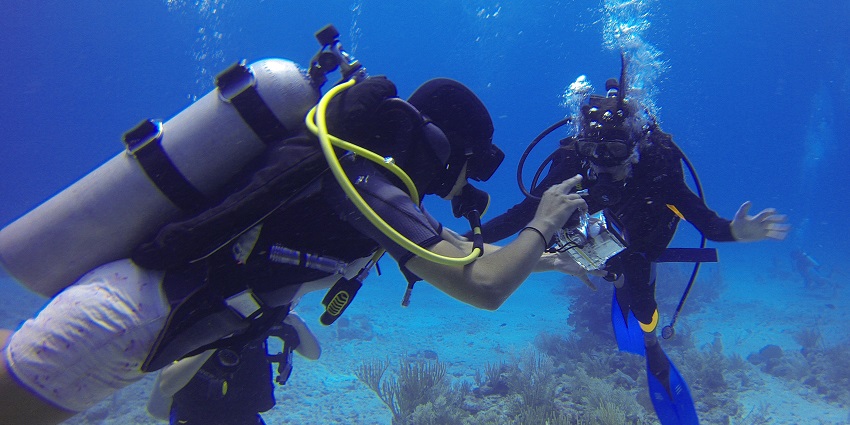 Rich marine biodiversity hotspot known for muck diving and sea turtles.