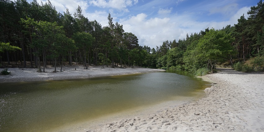 Scenic image of the beautiful Debki Beach under the sunny sun in Poland