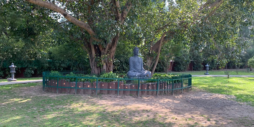 Lush surroundings of the Deer Park, one of the ideal spots for families and friends to hang out.

