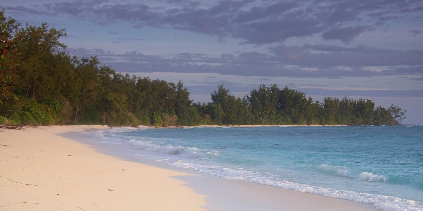 An image of Denis Island, a private island retreat with luxury resorts and marine life