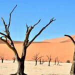 An image of a vast desert landscape of Thar desert in Rajasthan with dunes, showcasing an important location for desert safaris in India.