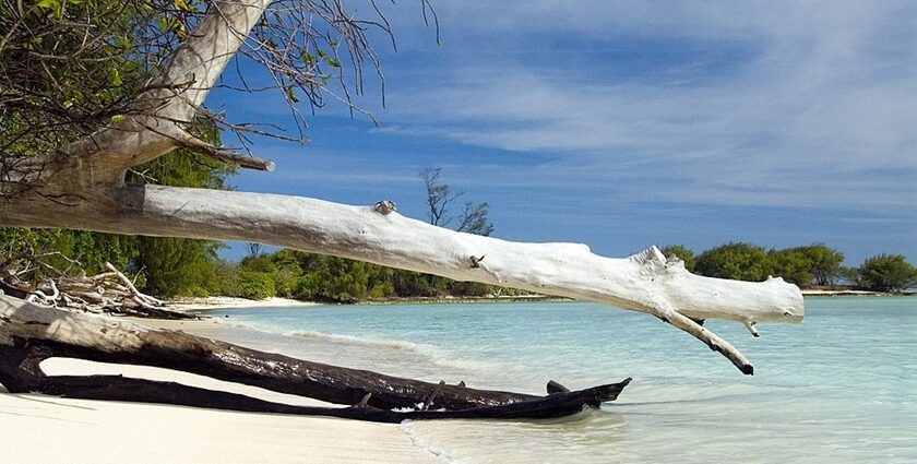 An image of secluded Desroches Island that offers pristine beaches, clear waters