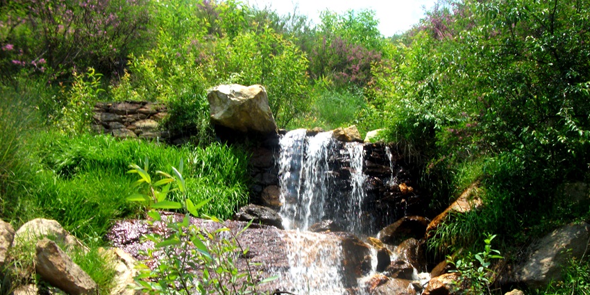 Scenic waterfall near Gangotri surrounded by rocky terrain and lush greenery–places to visit in lohaghat